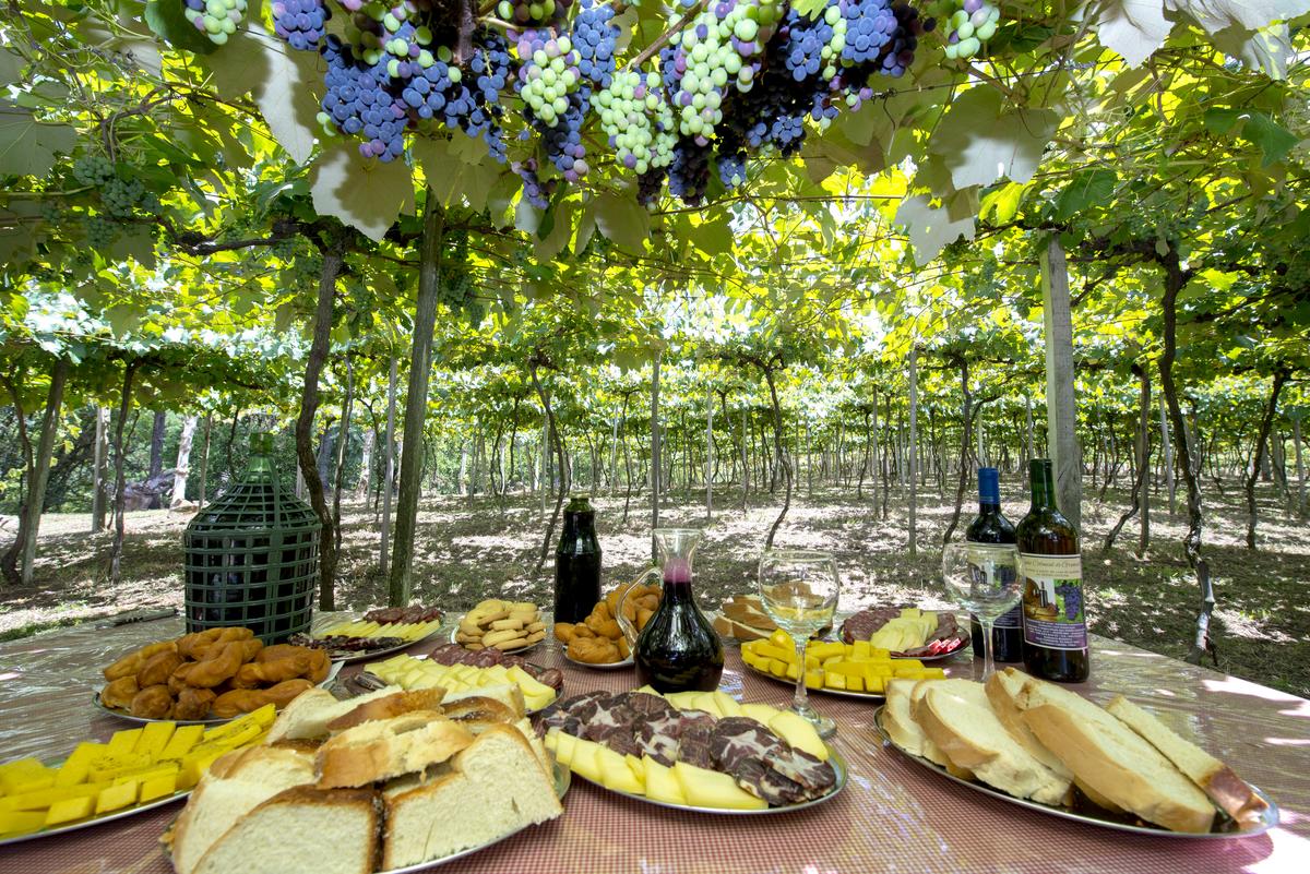 Condomínios de luxo em Gramado com vista panorâmica da paisagem natural, destacando modernas fachadas e ambientes elegantes.